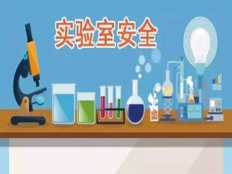 草莓视频污在线观看安全
