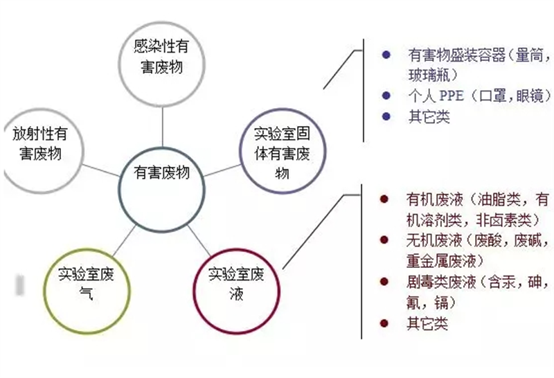 草莓视频污在线观看搬遷